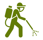 Tree Removal
