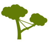 Tree Removal
