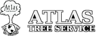 Atlas Tree Service Salt Lake City Utah